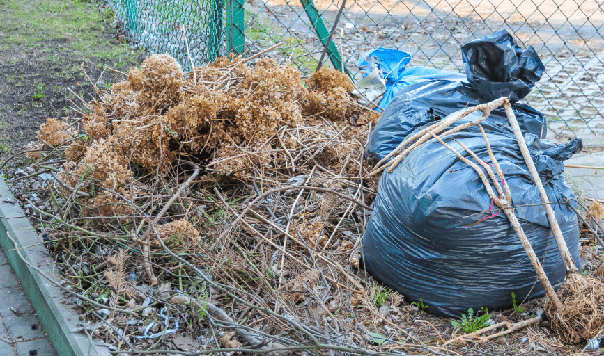 Yard Cleanup